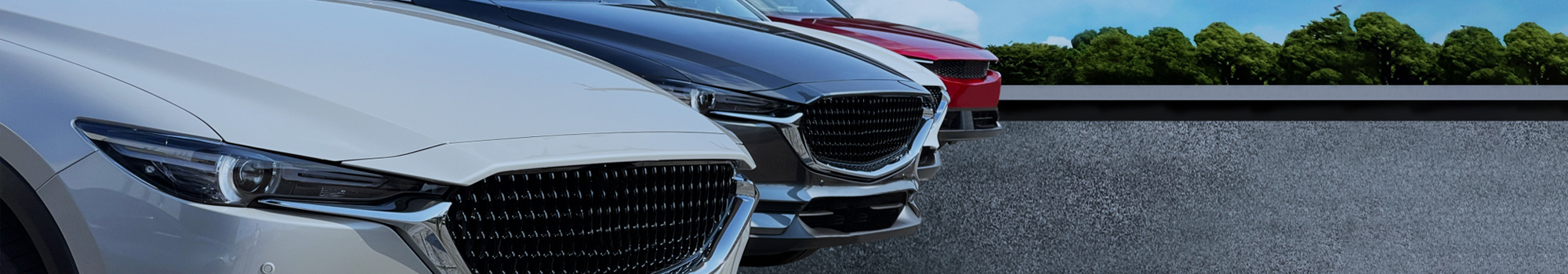 新車・中古車販売