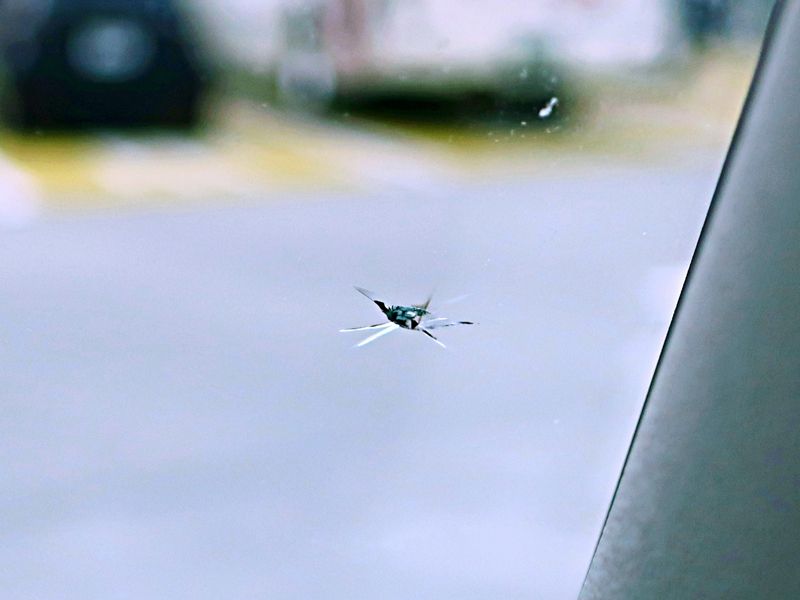 フロントガラス飛び石イメージ